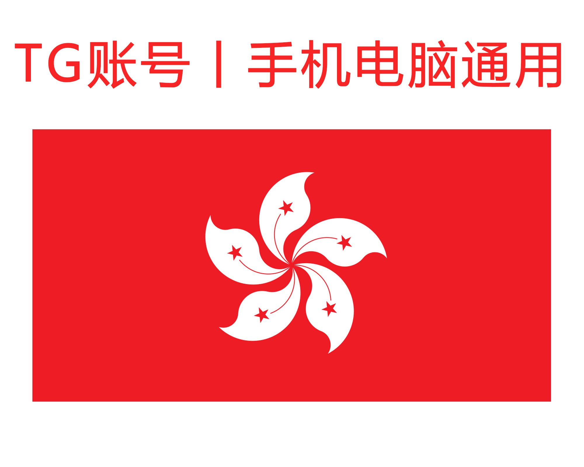 飞机号 (香港) 精养一年号｜手机+电脑可登